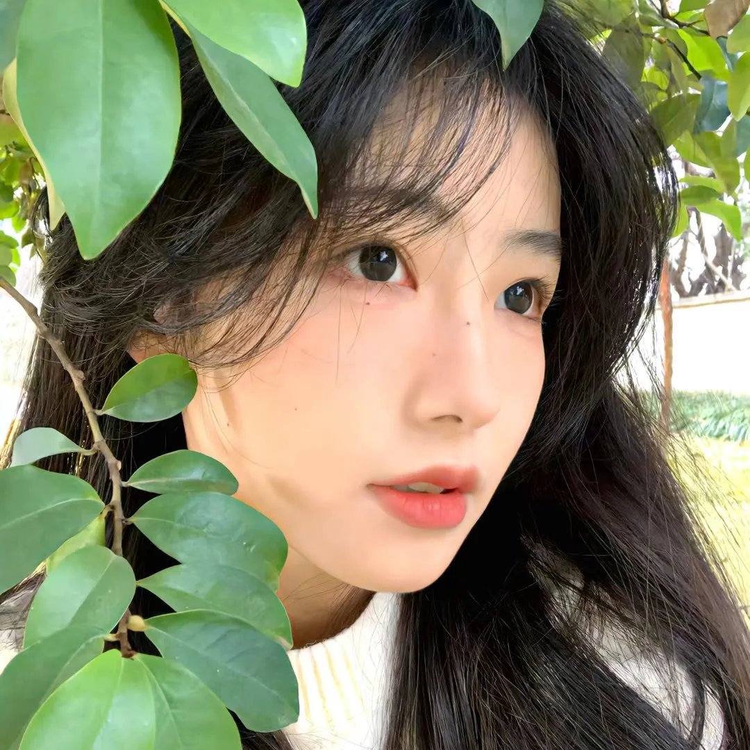 政宗君的复仇